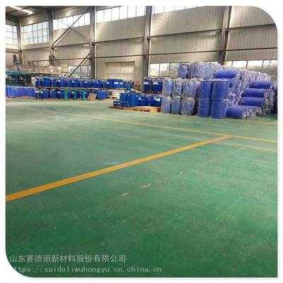赛德丽水性涂料 内外墙涂装施工工艺与环保优势解析